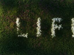 A Life Committed to Community Building Purpose Through Service